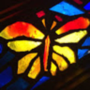 Meet your Posher, Stephanie anne